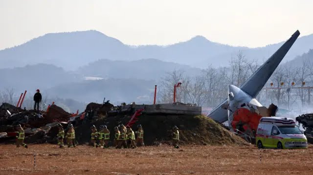 A group of firefighters walk next to the tail of the plane which has crashed on soil